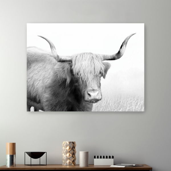 Highland Cow Canvas Art Print | Kirklands Home