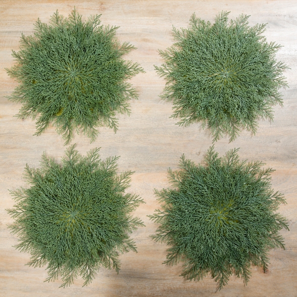 Cedar Top Round Placemats, Set of 4 Kirklands Home