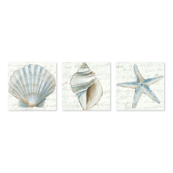 Ocean Treasures Canvas Art Prints, Set of 3 | Kirklands Home