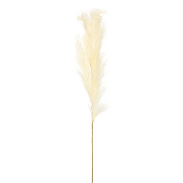 Natural Cream Pampas Grass Stems, Set of 4 Kirklands Home