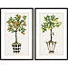 Fruit Topiary Giclee Black Framed Prints, Set of 2