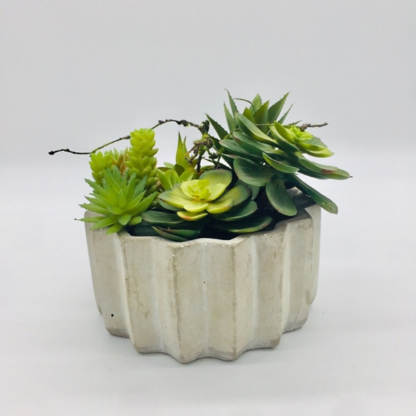 Succulent Arrangement in Zig-Zag Gray Planter