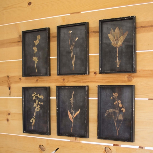 Black Botanical Framed Art Prints, Set of 6 Kirklands Home