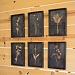Black Botanical Framed Art Prints, Set of 6