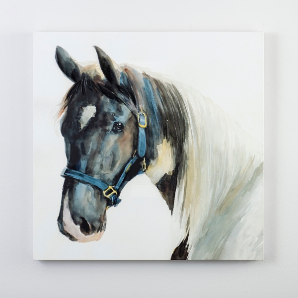 Multicolor Horse Canvas Art Print