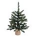 24 in. Lit Anoka Pine Burlap Base Christmas Tree