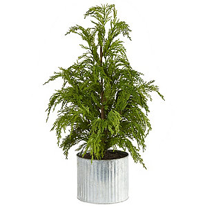 Norfolk Pine Stem Real Touch Green … curated on LTK