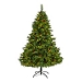 6.5 ft. Clear Lit Virginian Pine Christmas Tree