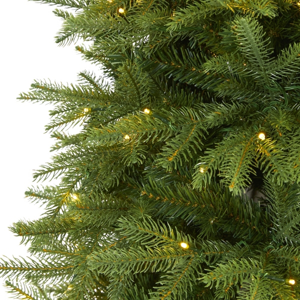 6 ft. Pre-Lit Vancouver Fir Christmas Tree