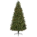 7.5 ft. Lit Rocky Mountain Spruce Christmas Tree
