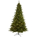 9 ft. Warm White Lit Vermont Spruce Christmas Tree