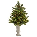 3.7 ft. Lit Carolina Fir Christmas Tree in Urn