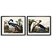 Water Birds Framed Art Prints, Set of 2