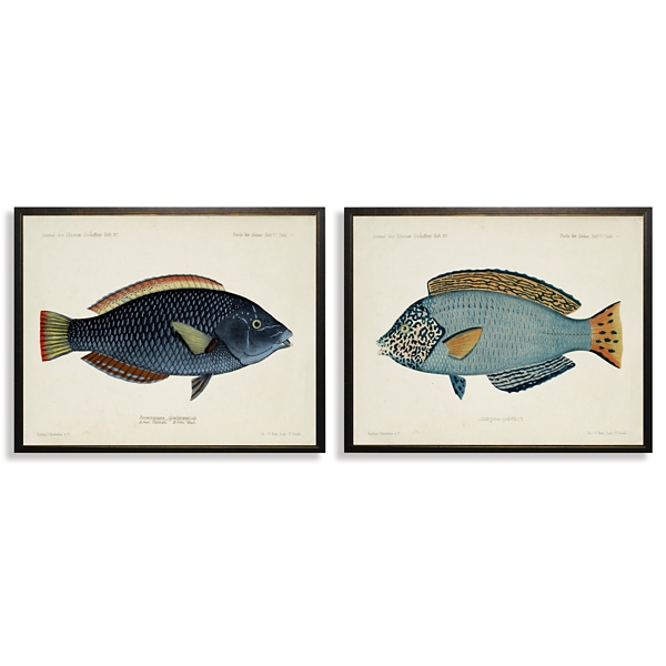 Blue Fish Framed Art Prints, Set of 2 | Kirklands Home