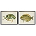 Acanthurus Fish Framed Art Prints, Set of 2