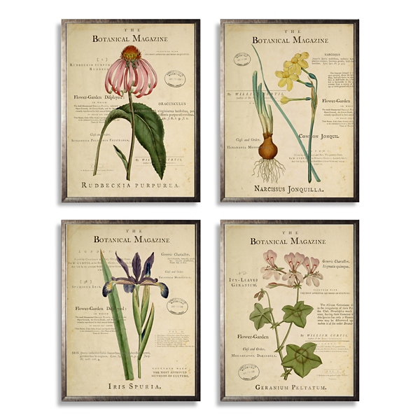Flower Magazine Framed Art Prints, Set of 4 | Kirklands Home
