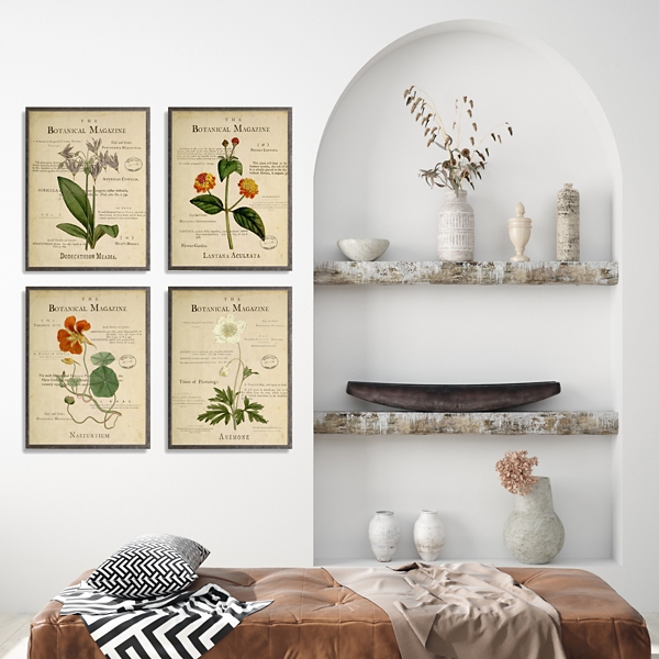 Flower Illustrations Framed Art Prints, Set of 4
