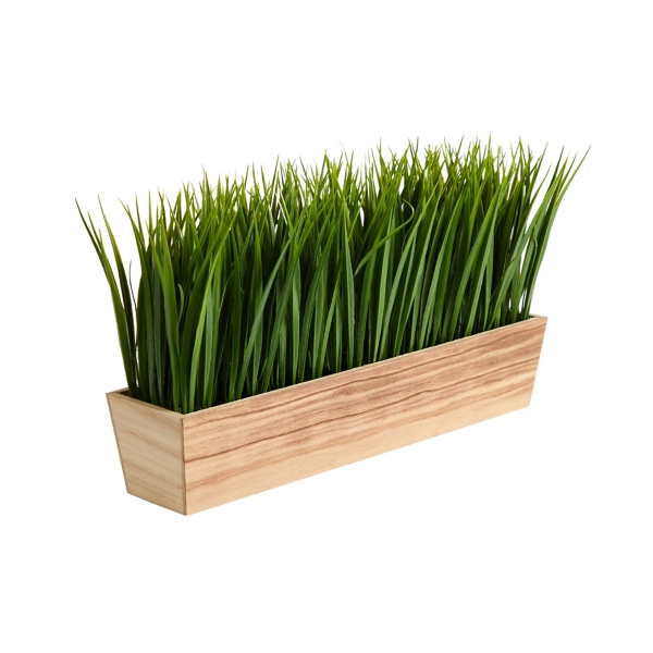 Vanilla Grass in Rustic Wood Planter