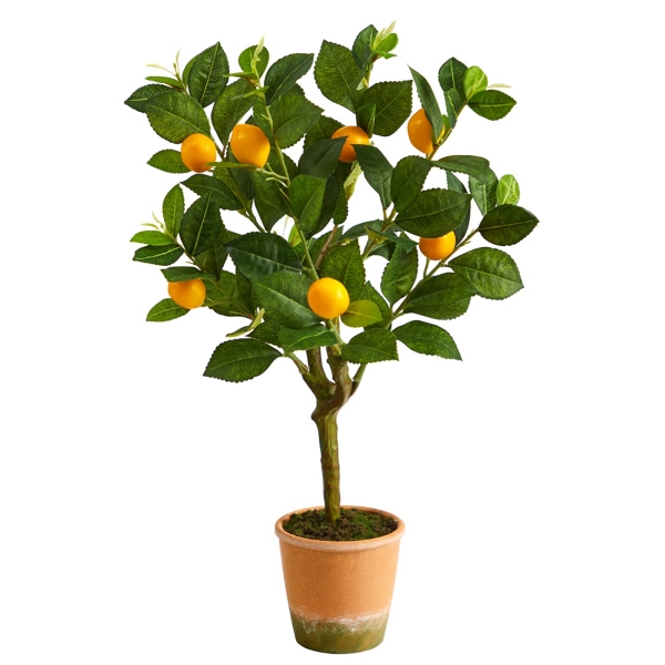 Ripe Lemon Tree in Terracotta Planter, 24 in. | Kirklands Home