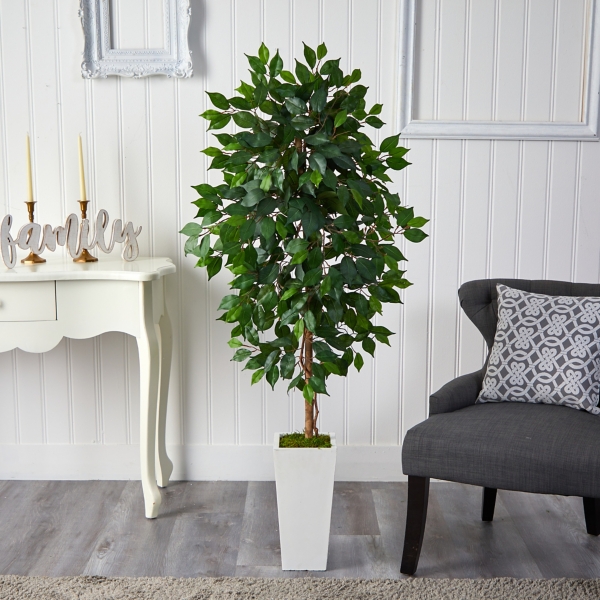 Ficus Tree in Mossy White Tower Planter