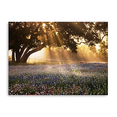 Silence of Sunset Framed Canvas Art Print