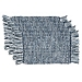 Blue Woven Placemats with Fringe, Set of 4