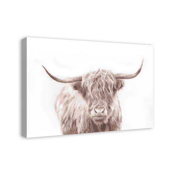 Bullie Boy Sepia Canvas Art Print