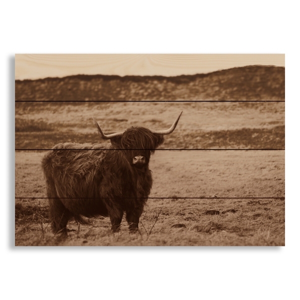 Sepia Highland Cow Wood Pallet Wall Art Kirklands Home