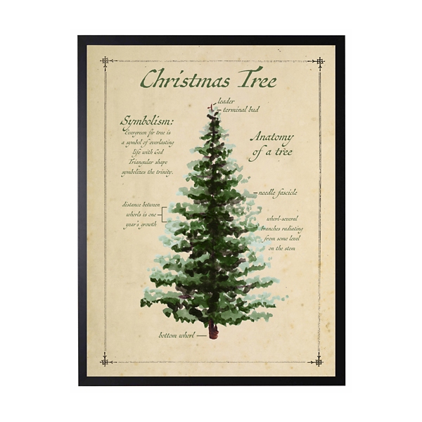 Christmas Tree Definition Framed Art Print | Kirklands Home