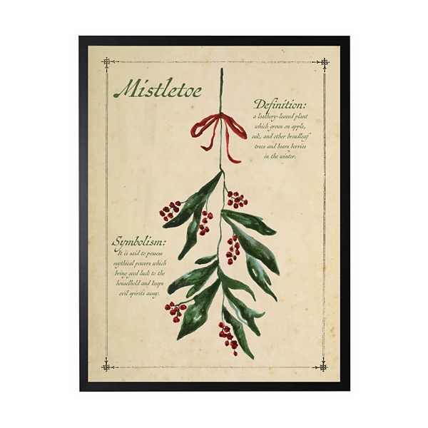 Mistletoe Definition Framed Christmas Art Print | Kirklands Home