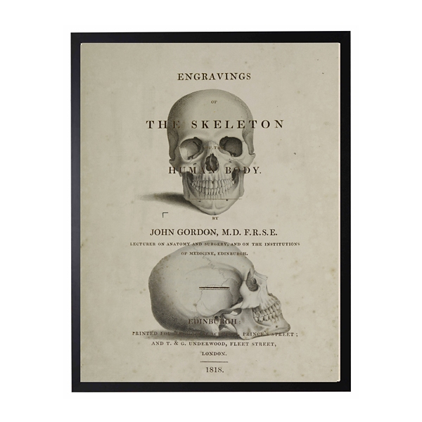 Vintage Skull Framed Halloween Wall Art Kirklands Home