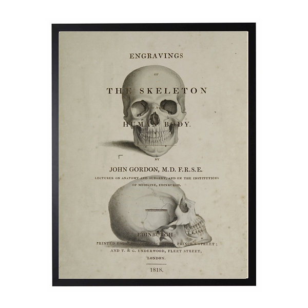 Illustration The Skull Poster, Vintage Skull Draw, Halloween