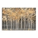 Golden Forest Light Giclee Canvas Art Print