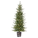 6 ft. Pre-Lit Cut Glendale Pine Christmas Tree