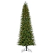 9 ft. Pre-Lit Slim Northern Spruce Christmas Tree