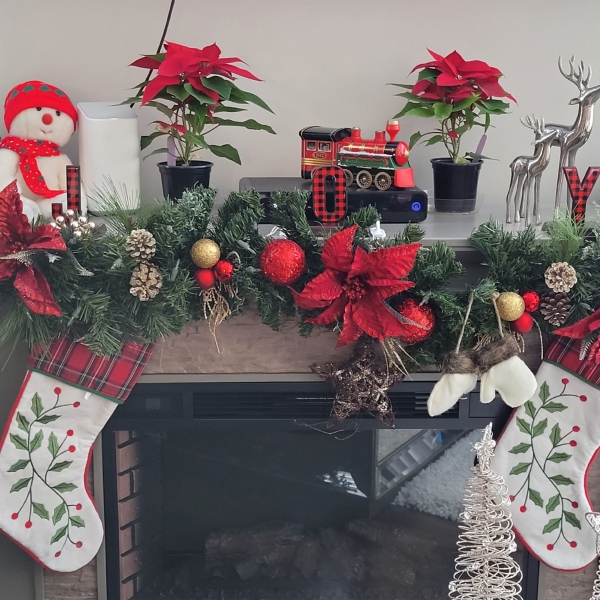 Red Buffalo Plaid 3-pc. Joy Stocking Holders