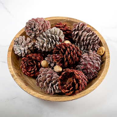 Keystone Wholesale Frosted Mini Pine Cones - Perfect for Potpourri or –  SHANULKA Home Decor