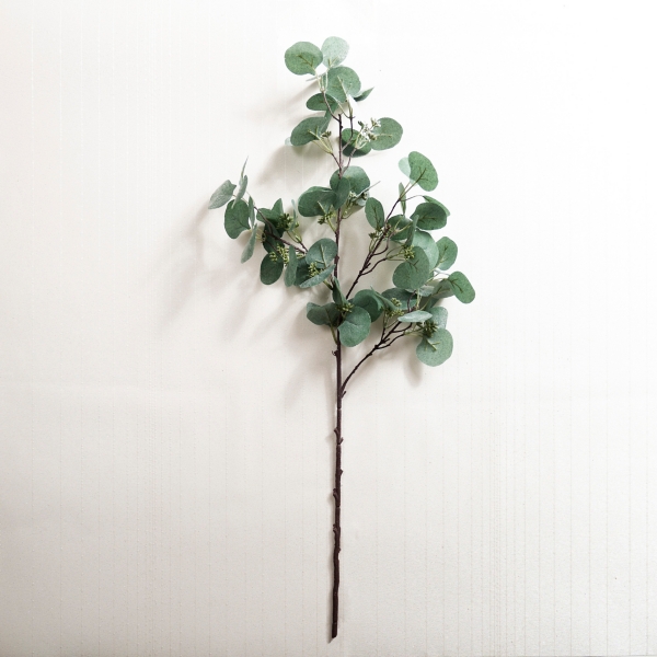 Frosted Silver Dollar Eucalyptus Stem Kirklands Home