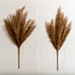 Tan Glittered Pampas Stems, Set of 2