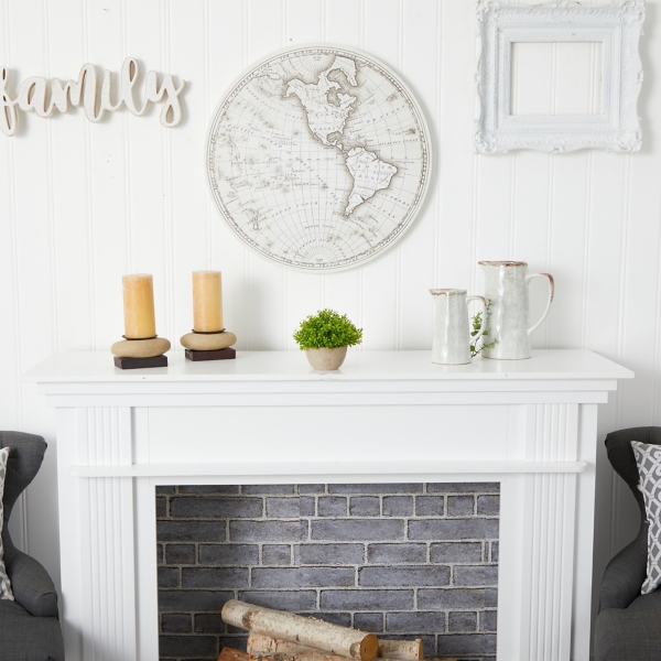 Boxwood Plant in Cement Bowl