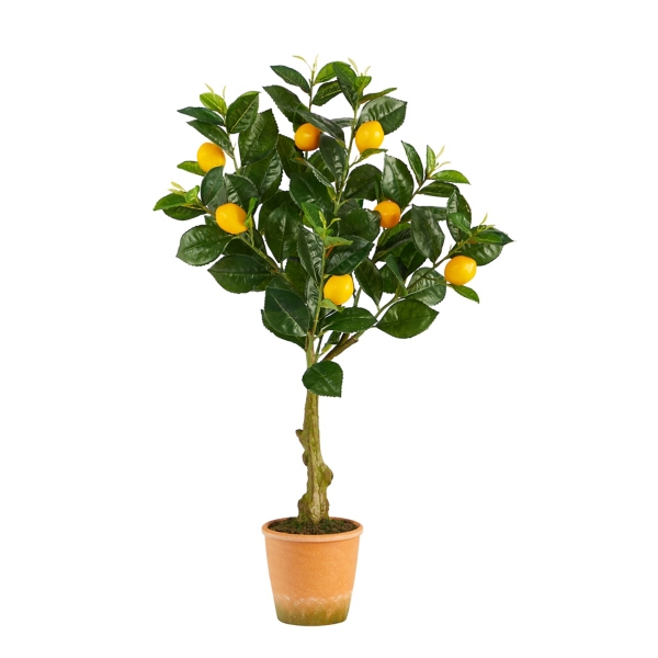 Ripe Lemon Tree in Terracotta Planter, 28 in. Kirklands Home
