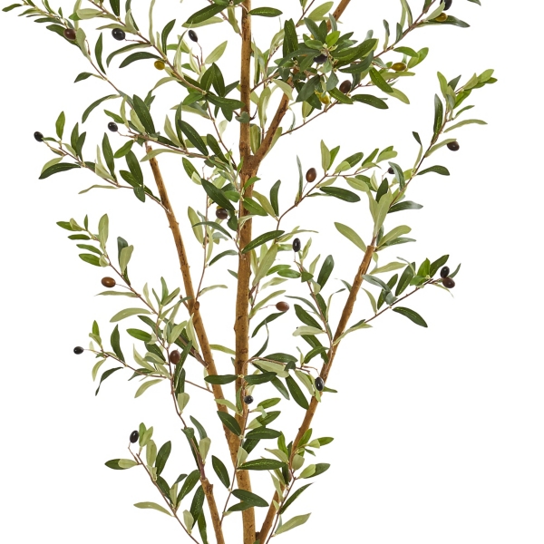 Tall Potted Olive Branch Tree, 82 in.
