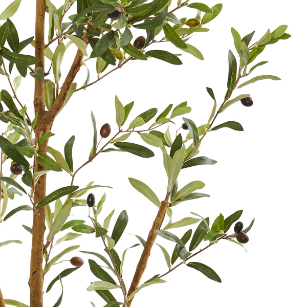 Tall Potted Olive Branch Tree, 82 in.