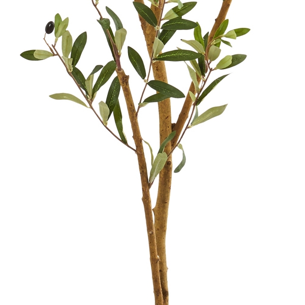 Tall Potted Olive Branch Tree, 82 in.