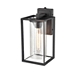 Black Open Seeded Glass Outdoor Sconce