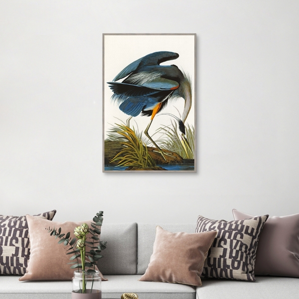 Louisiana Heron Framed Canvas Art Print