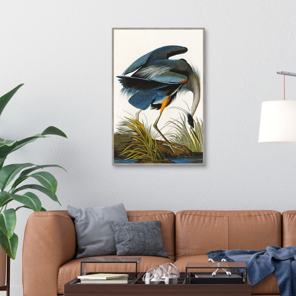 Louisiana Heron Framed Canvas Art Print