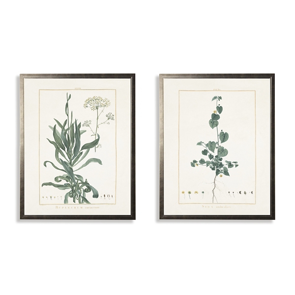 Greenery Botanicals II Framed Art Prints, Set of 2 Kirklands Home