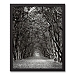 Black and White Tree Tunnel Canvas Art Print