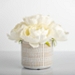 White Peony Bouquet in Patterned Planter